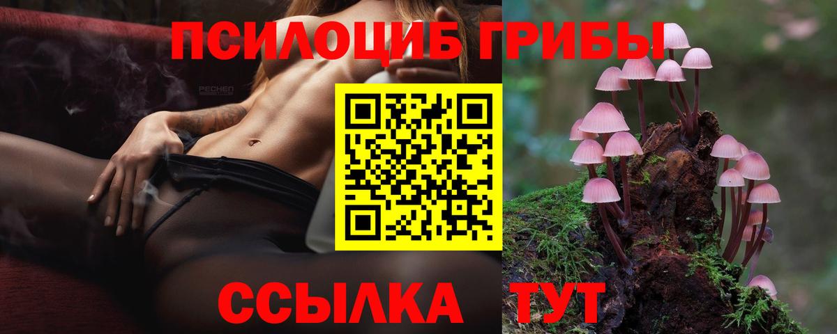 Петрозаводск  Галлюциногенные грибы ЛСД  купить наркотики цена  Вход с VPN 